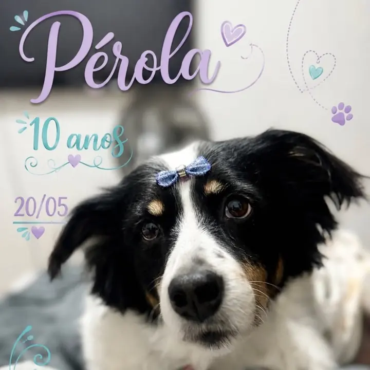 Publicação de aniversário da paciente Pérola, 10 anos